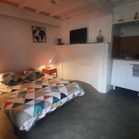 Promo24-31Mai 4Personnes Toulouse 15Mn 4 Lits Cuisine Sde Wc Lejlighed Montastruc-la-Conseillère Eksteriør billede