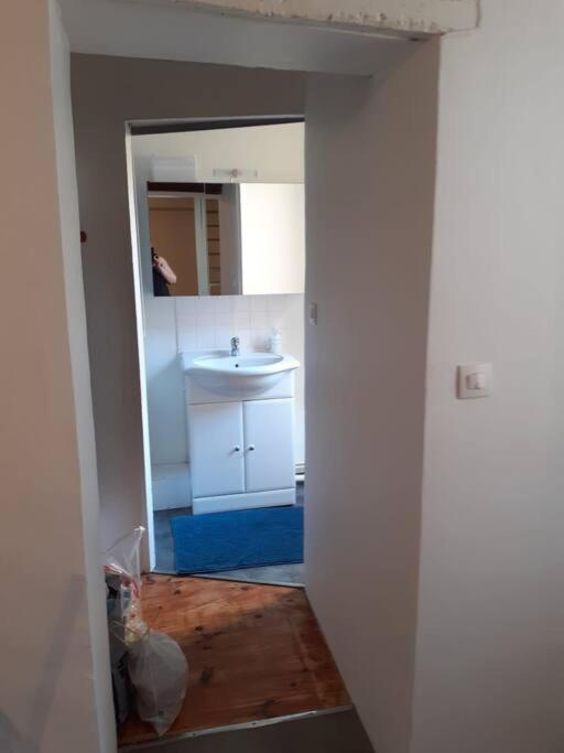 Promo24-31Mai 4Personnes Toulouse 15Mn 4 Lits Cuisine Sde Wc Lejlighed Montastruc-la-Conseillère Eksteriør billede