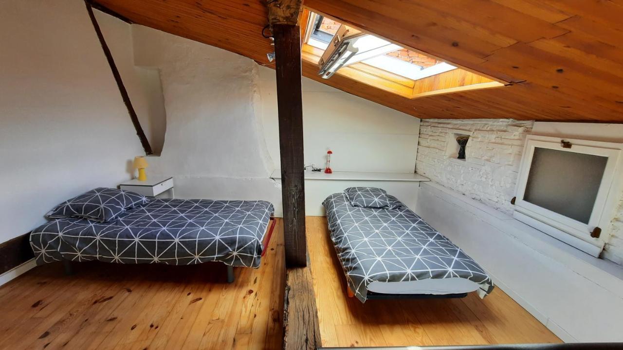 Promo24-31Mai 4Personnes Toulouse 15Mn 4 Lits Cuisine Sde Wc Lejlighed Montastruc-la-Conseillère Eksteriør billede